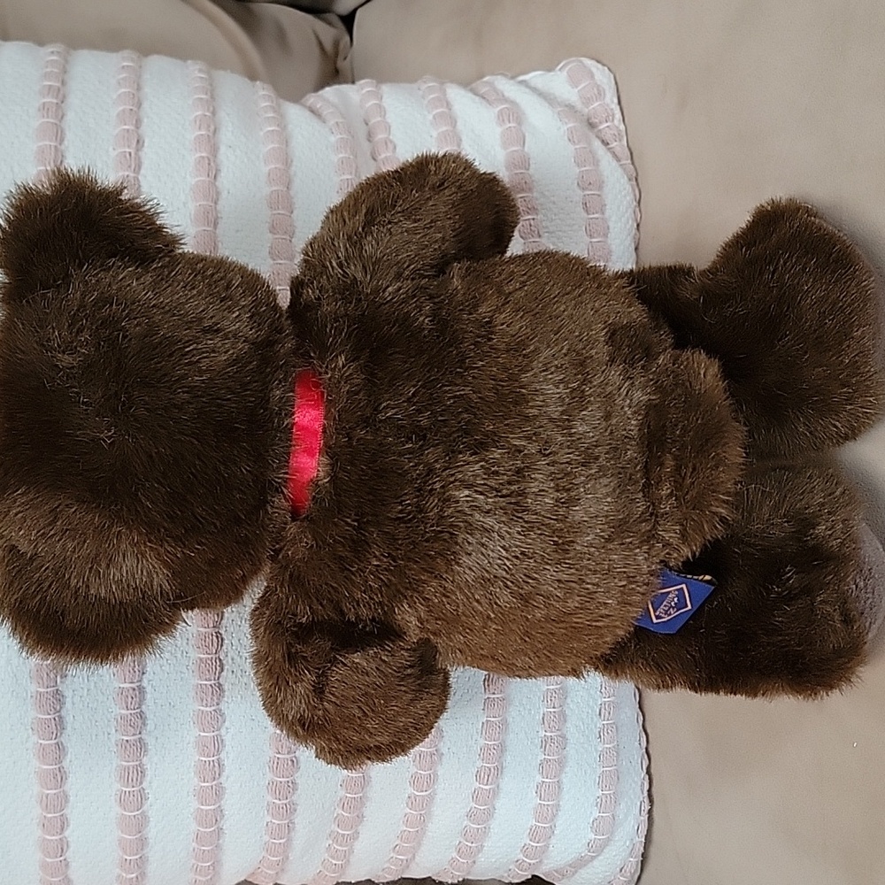 Vintage The Petting Zoo 14" Brown 1994 Teddy Bear NWT - Picture 4 of 8